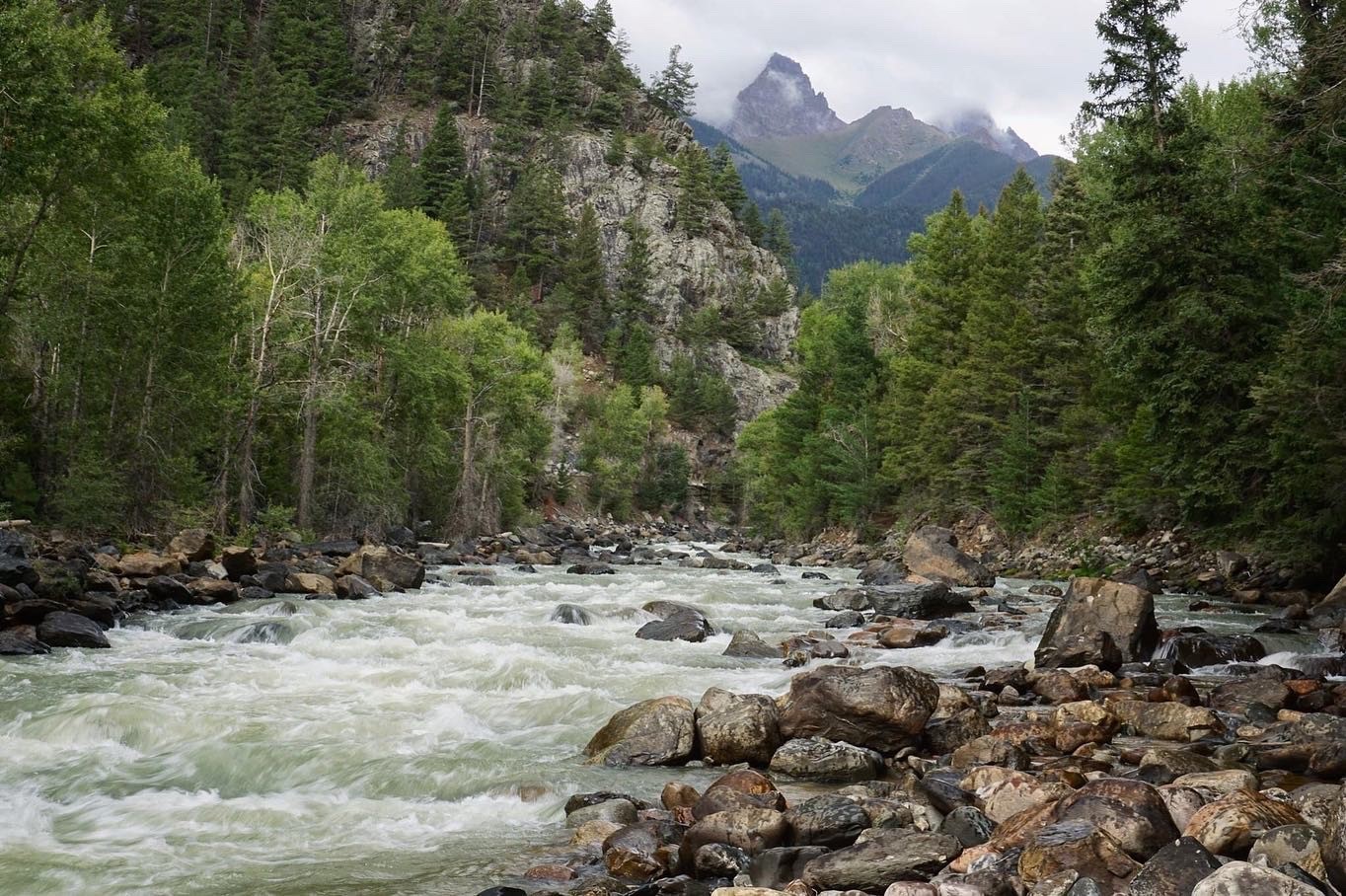 Animas River